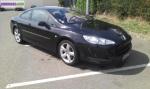 Peugeot 407 - Miniature
