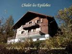 Chalet à louer 8 lits portes du soleil, valais, ch - Miniature