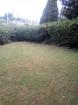 Terrain - Miniature